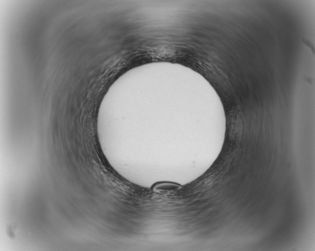 X0000102281345200808151918