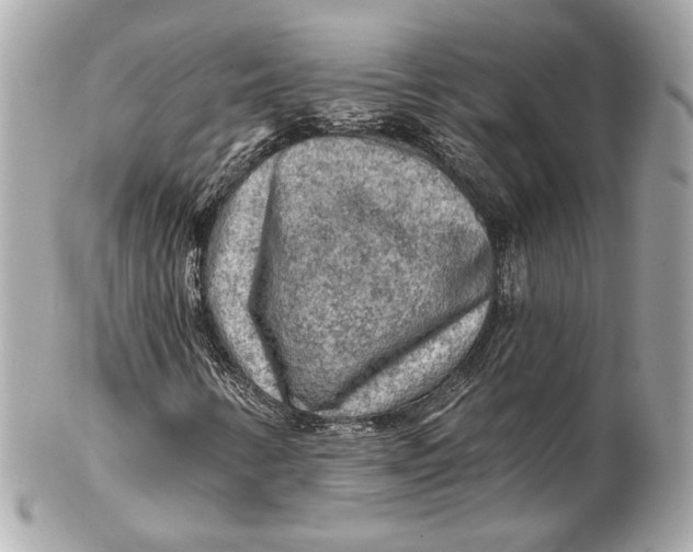 X0000102281346200808151918