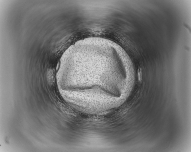 X0000102281347200808151918