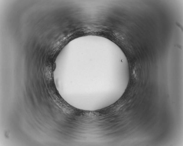 X0000102281348200808151918