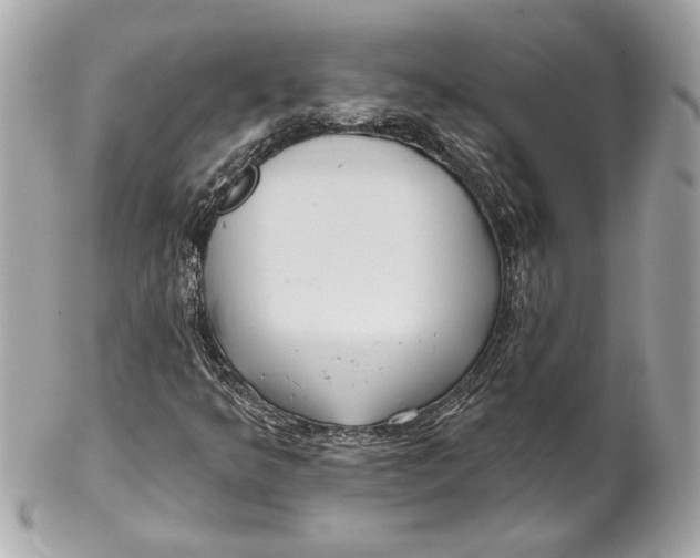 X0000102281349200808151918