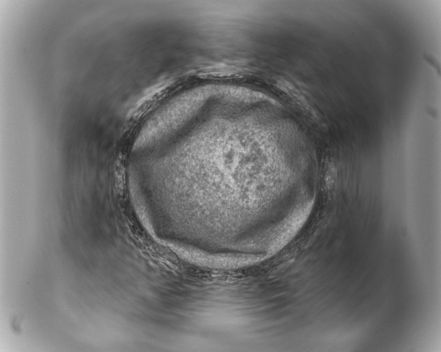 X0000102281350200808151918