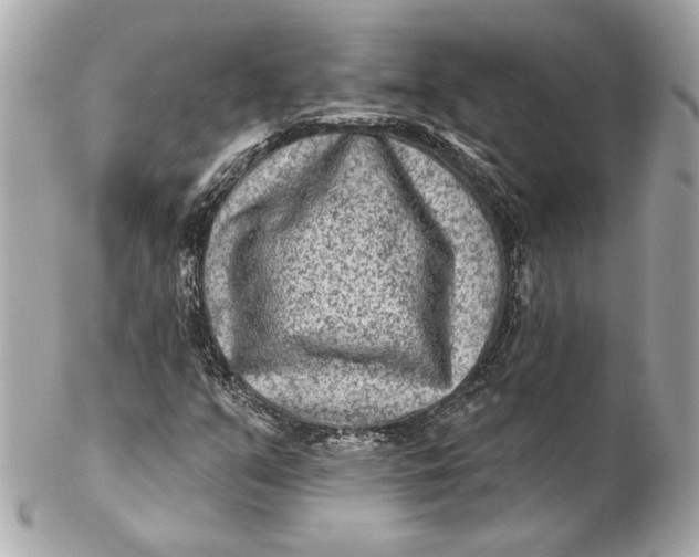 X0000102281351200808151918