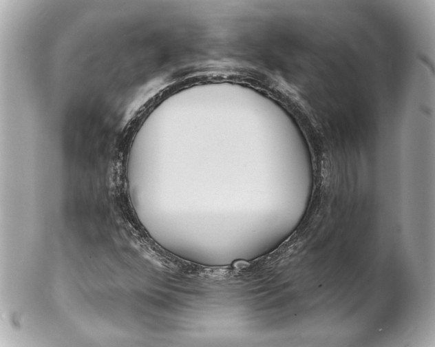 X0000102281352200808151918