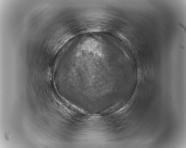 X0000102281353200808151918