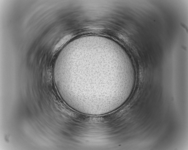 X0000102281354200808151918