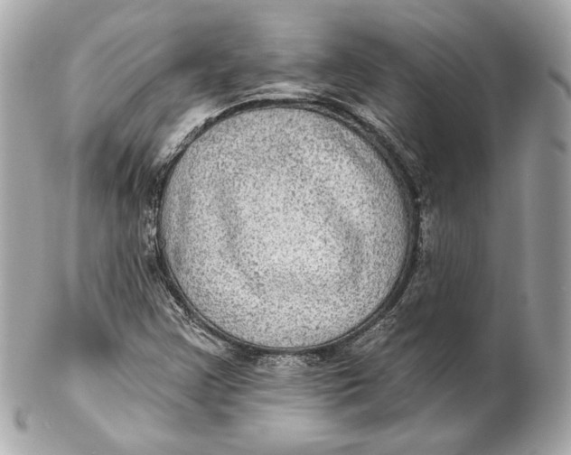 X0000102281355200808151918