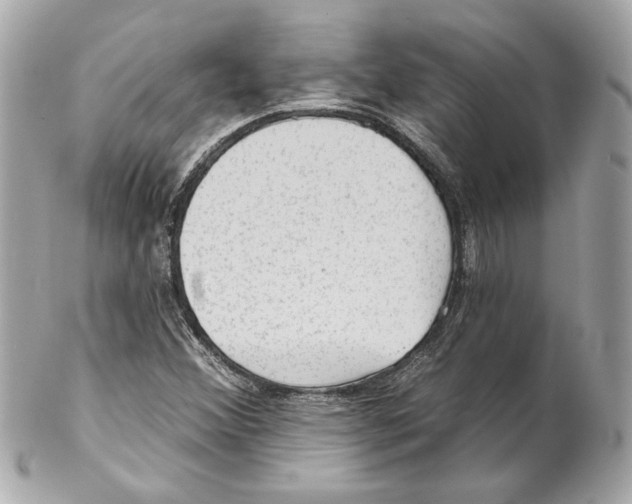 X0000102281356200808151918