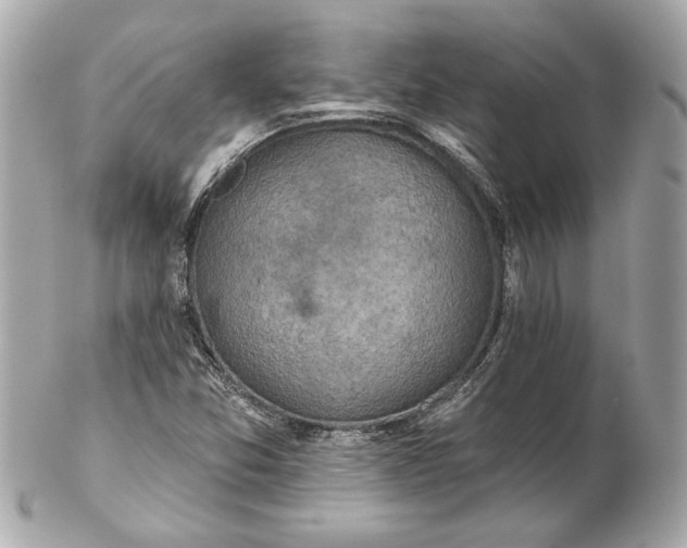 X0000102281357200808151918