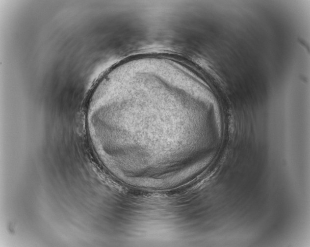 X0000102281358200808151918