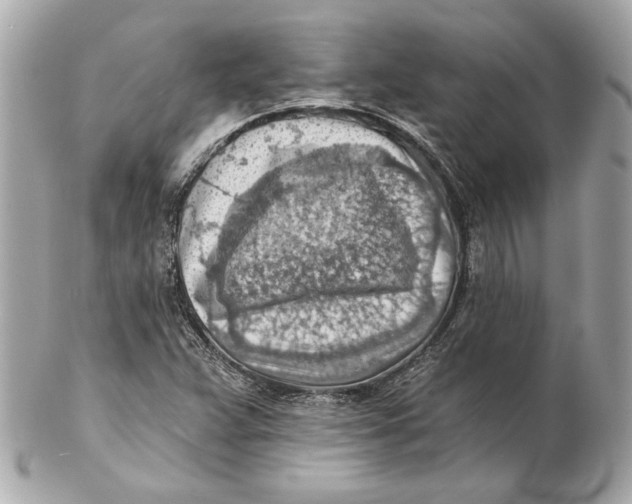 X0000102281359200808151918