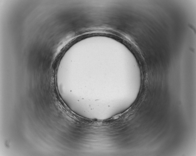 X0000102281360200808151918