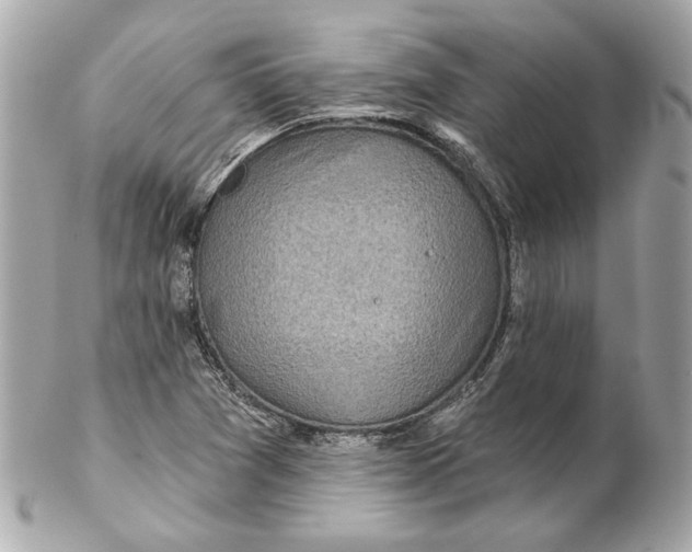 X0000102281361200808151918