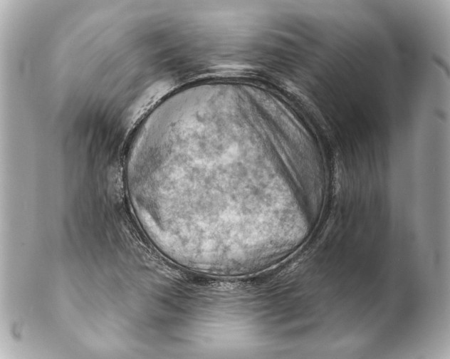 X0000102281362200808151917