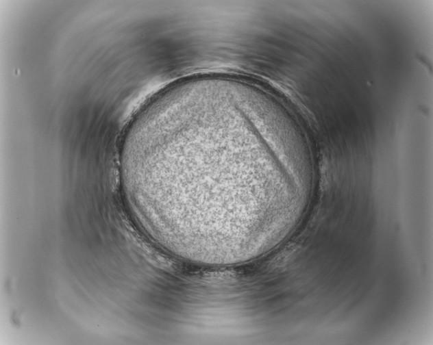 X0000102281363200808151917