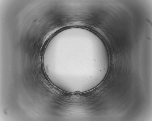 X0000102281364200808151917