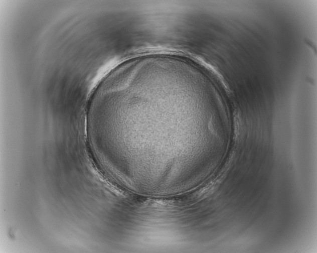 X0000102281365200808151917