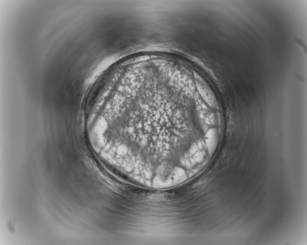 X0000102281367200808151917