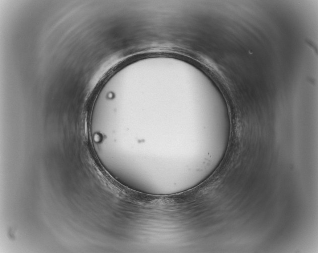 X0000102281368200808151917