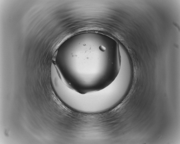 X0000102281369200808151917