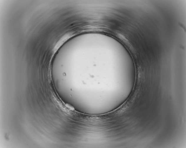 X0000102281370200808151917