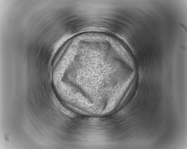 X0000102281371200808151917