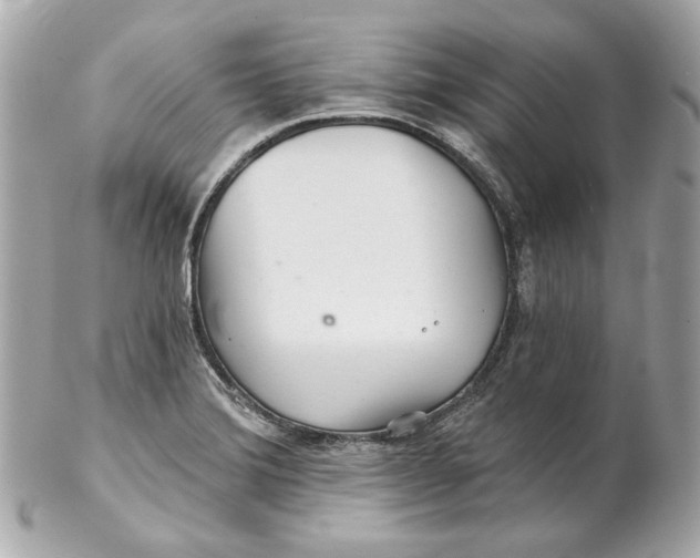 X0000102281372200808151917