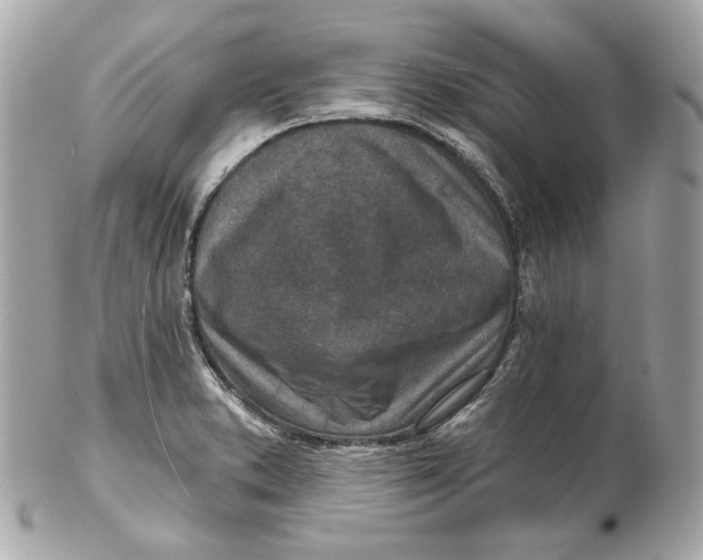 X0000102281373200808151917