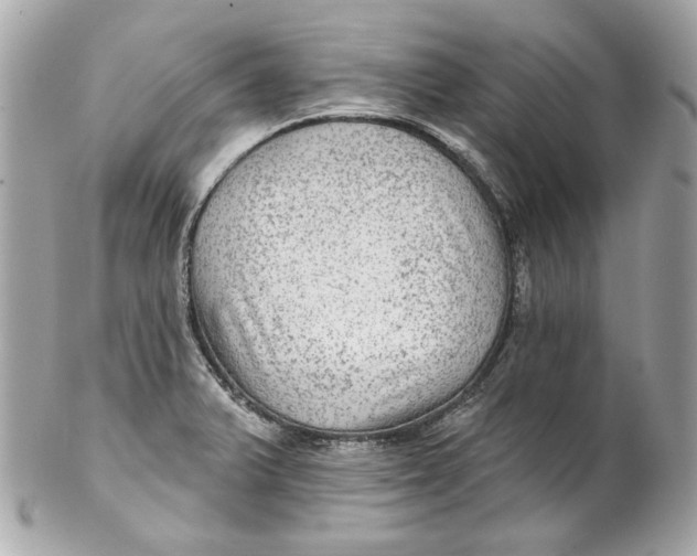 X0000102281375200808151917