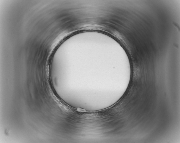 X0000102281376200808151917