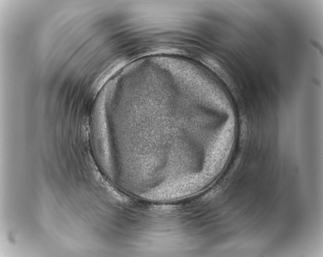 X0000102281377200808151917