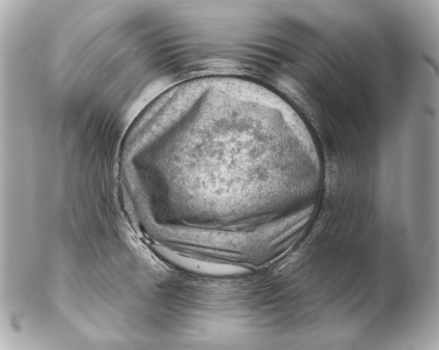 X0000102281378200808151917