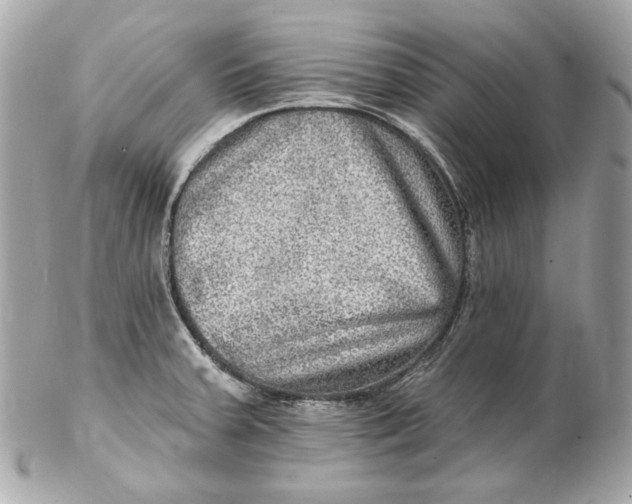 X0000102281379200808151917