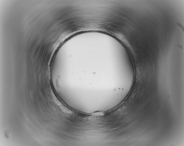 X0000102281380200808151917