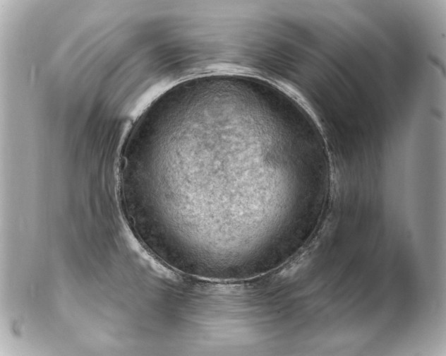 X0000102281381200808151917