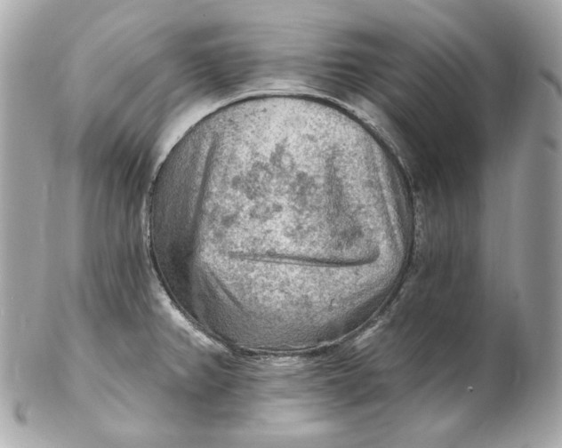 X0000102281382200808151917