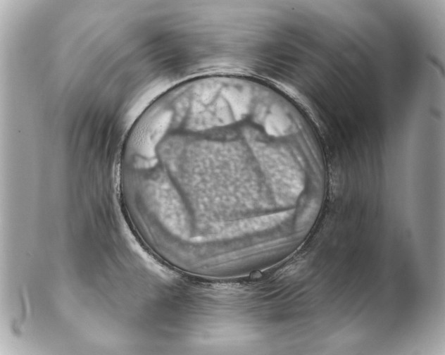 X0000102281383200808151917