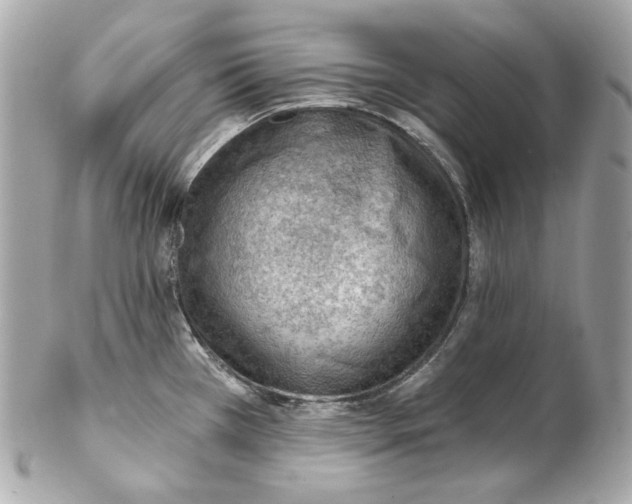 X0000102281385200808151917