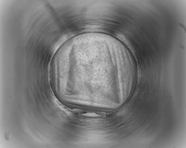 X0000102281386200808151917