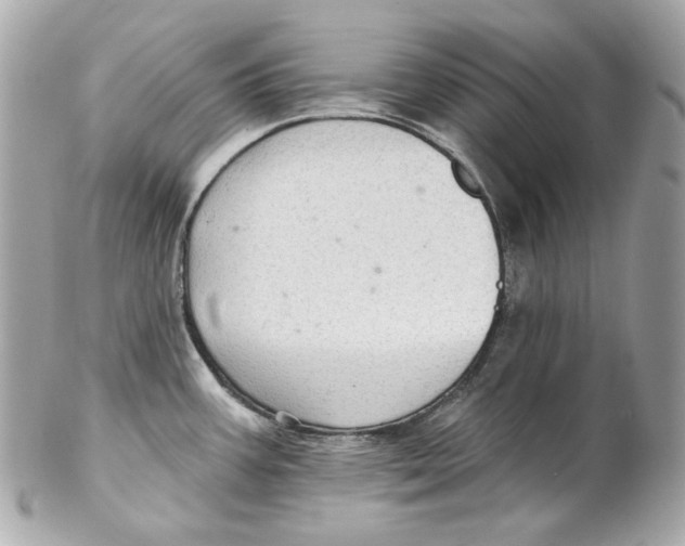 X0000102281387200808151917