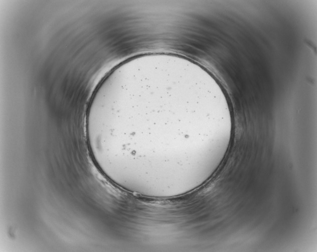 X0000102281388200808151917