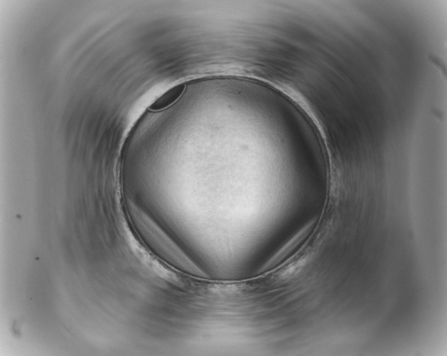 X0000102281389200808151917