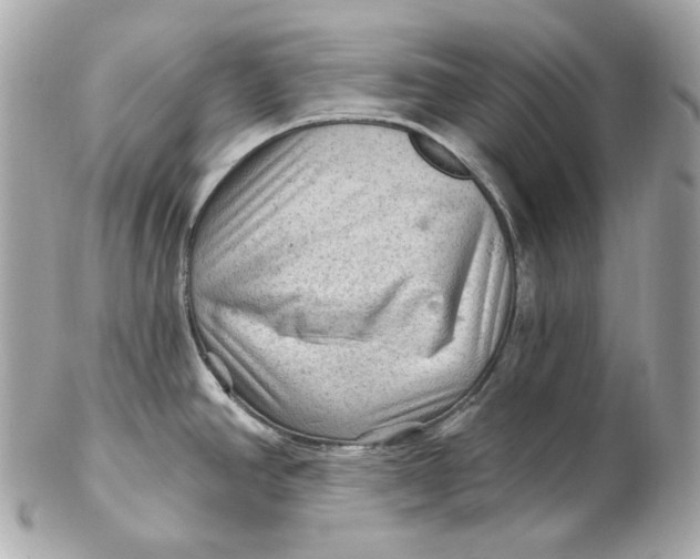 X0000102281390200808151917