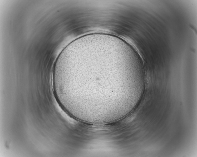 X0000102281391200808151917