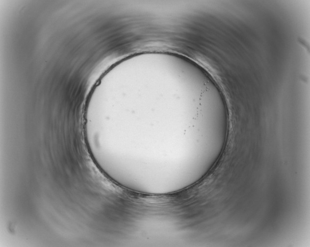 X0000102281392200808151917