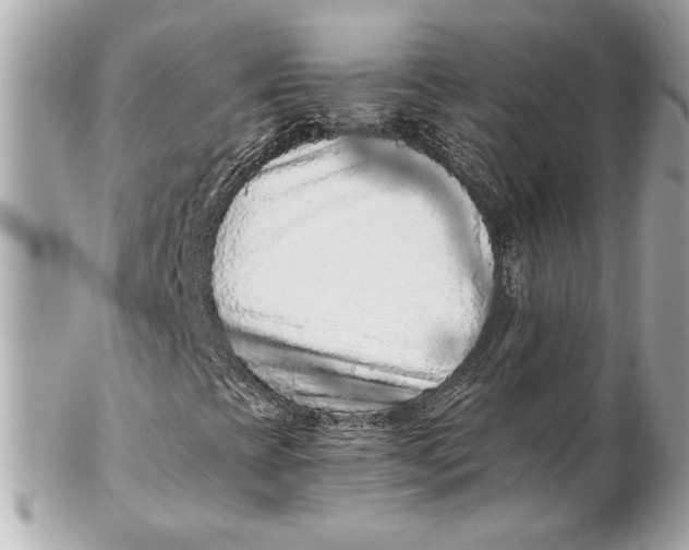 X0000102281393200808151916