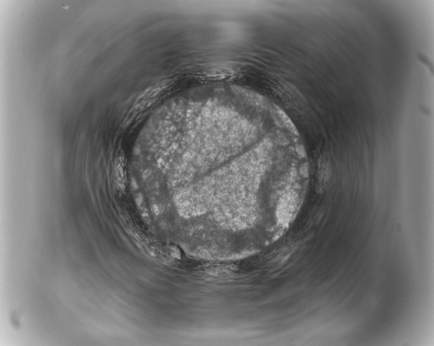 X0000102281394200808151916