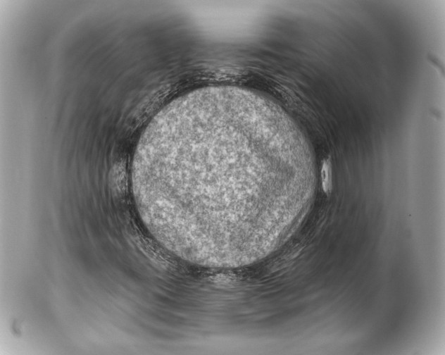 X0000102281395200808151916