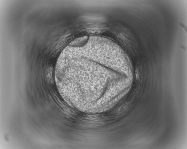 X0000102281396200808151916