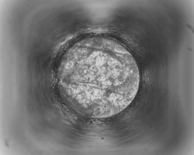 X0000102281398200808151916